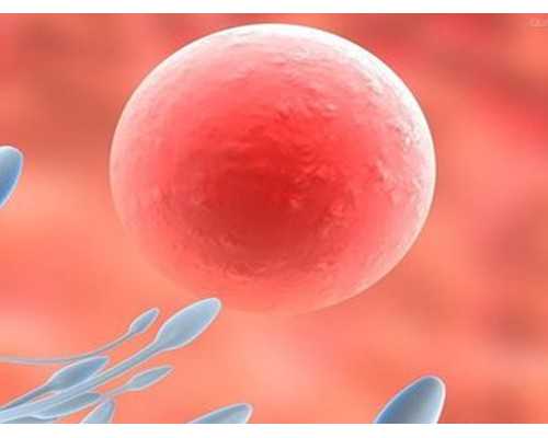 苏州试管助孕交流群 苏州试管保胎关于保胎你可能有这些误区 ‘b超里照孩子的