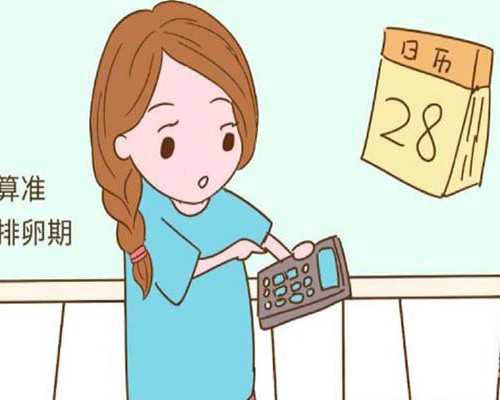 备孕期的饮食选择:海鲜禁忌与注意事项