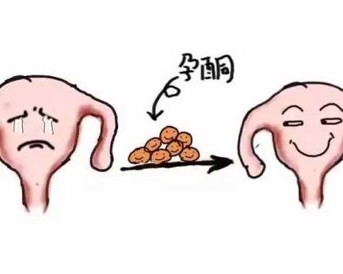 供卵怀孕公司_供卵合法的国家?,威海三代试管供卵选性别,丽江三代试管供卵选