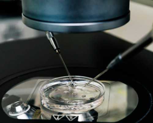 做第三代试管婴儿如何提高成功率？染色体异常做第三代试管婴儿成功率高吗