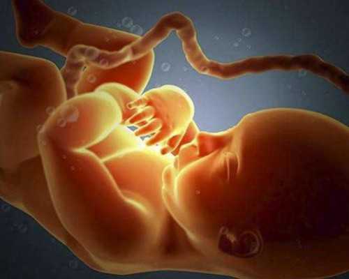 试管助孕供卵_国内怎么供卵_延安供卵试管,供卵试管费用