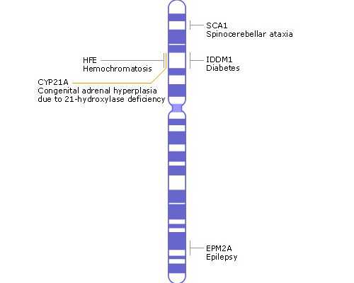 海口捐卵子公司