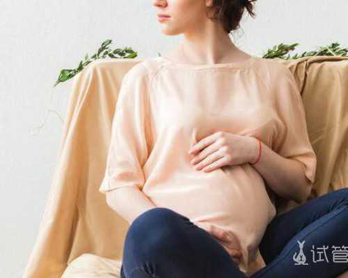 紫朵朵供卵价格表_知名供卵试管生子_2026
湖州供卵试管生男孩价格多少?附湖