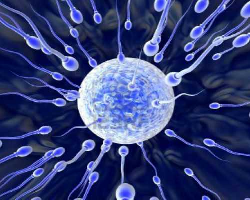 海口借卵代生孩子-浙江代生哪家安全