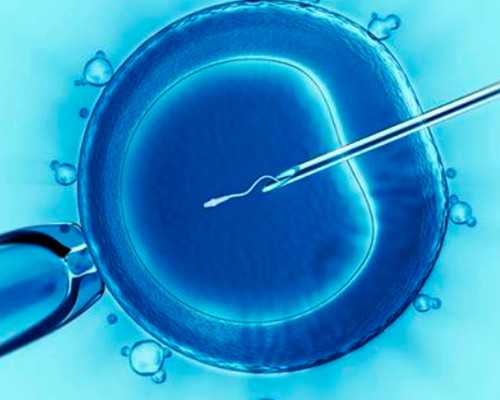 延安供卵试管,供卵试管费用