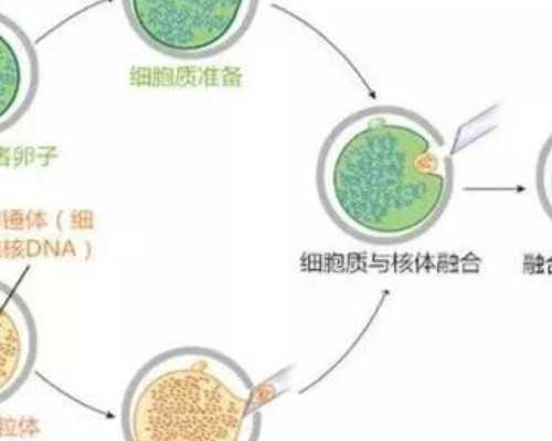 北京供卵中心|供卵试管费用|供卵试管能怀男孩吗?_上海供卵试管公司有哪些