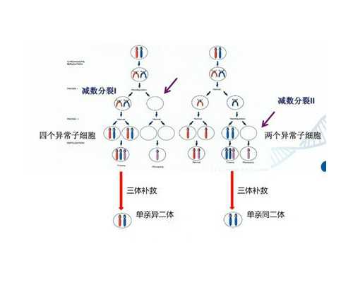 通常来说子宫内膜正常的厚度是5-12MM不等。
