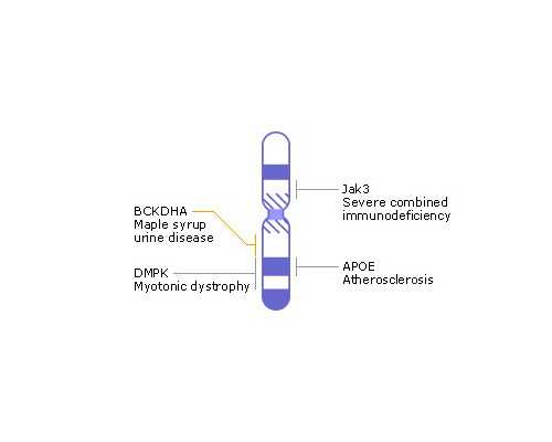 供卵成功率高吗_哪里有供卵的公司_商洛哪里有能做供卵的正规试管机构?