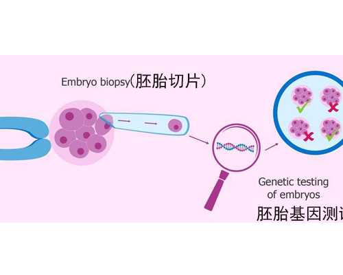 海口代怀哪里好|海口三代试管婴儿医院排名?海口哪家试管医院好?