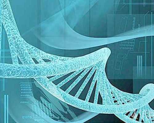 供卵试管婴儿中介_哪里做供卵_45岁要买卵子做试管，涿州供卵中心在哪？