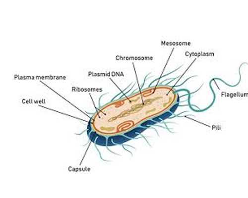 海口三代试管婴儿海口试管哪家成功率比较高,代生价格表