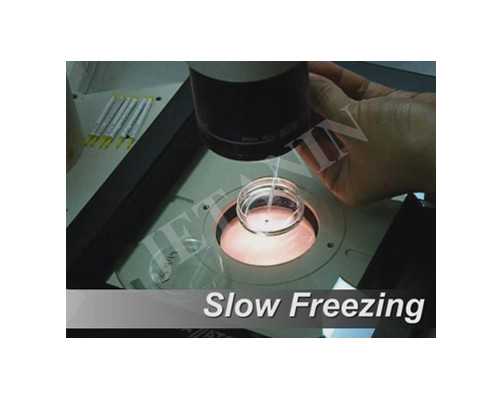 海口受捐卵志愿者