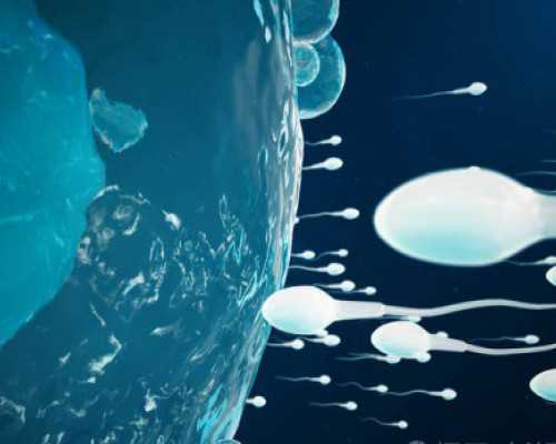 有多少人接受供卵_供卵靠谱吗天涯_银川供卵机构可以做三代试管选男孩吗？供