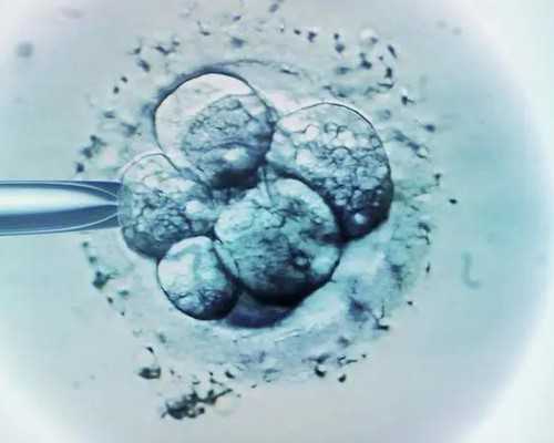 卵泡发育慢能不能正常受孕?卵泡发育慢正常受孕几率?