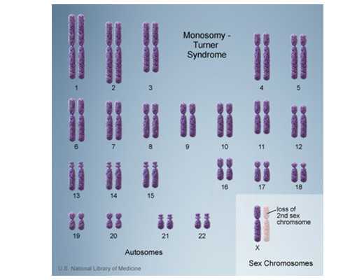 供精供卵生下孩子_供卵费用多少_铜仁习惯性流产能借助试管婴儿技术助孕吗?