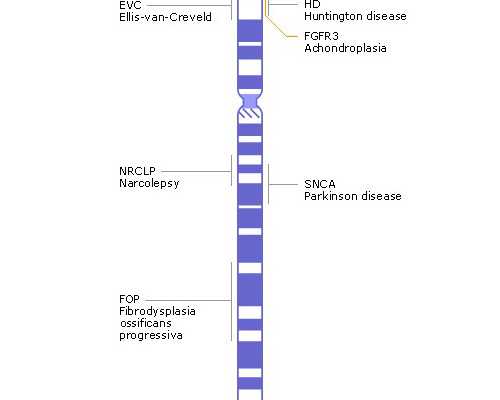 国内试管供卵_做试管供卵违法吗,南昌哪家医院做供卵试管，附三代供卵试管生