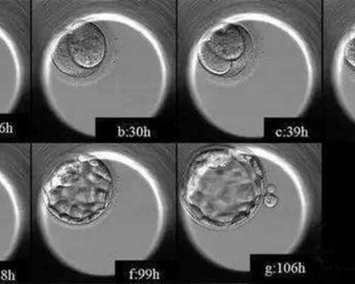 海口医院借卵|海口试管婴儿去哪里做(海口哪里可以做试管婴儿)