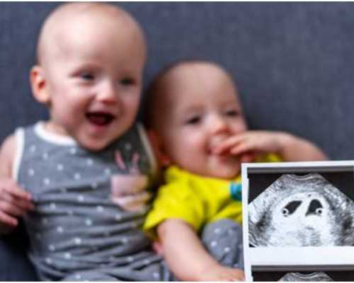 取卵后多久移植冻胚比较好