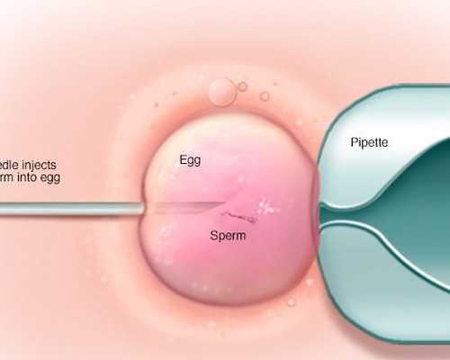 海口哪个医院做试管最好(海口哪个医院做三代试管)