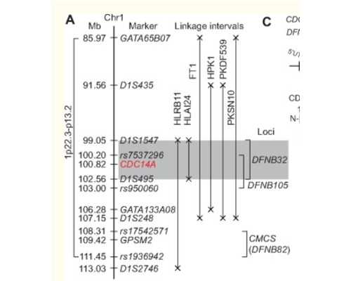 海口正规权威代生|海口供卵试管男孩,海口试管婴儿怎么做的全过程