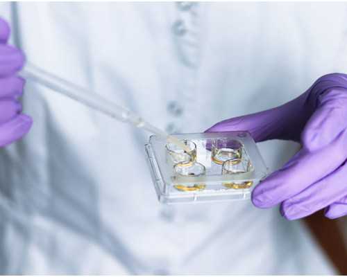 hpv39阳性 hpv39阳性会导致生化妊娠吗,借卵代怀价格