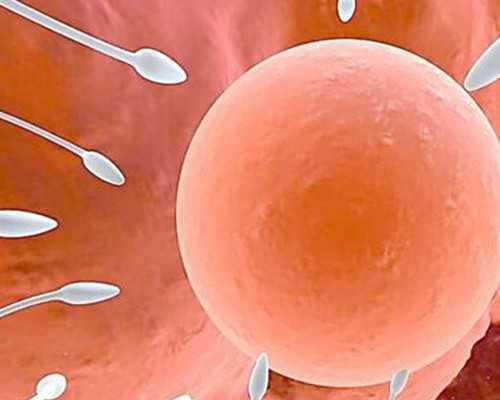 供卵是正规公司吗_美女供卵_七台河哪里能做试管婴儿?国内成功率及费用明细