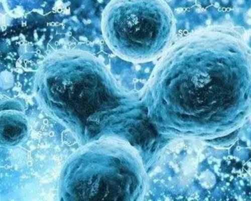 供卵哪里可以提供_合法供卵中心_泰国试管婴儿生双胞胎的几率大吗有没有风险