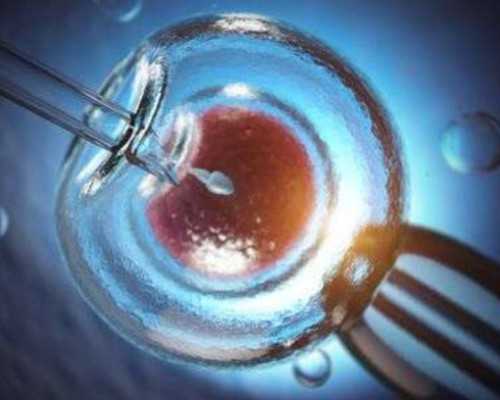 供卵试管经验_哪个医院能供卵,湖北妇幼供卵试管多少钱？附供卵试管费用明细