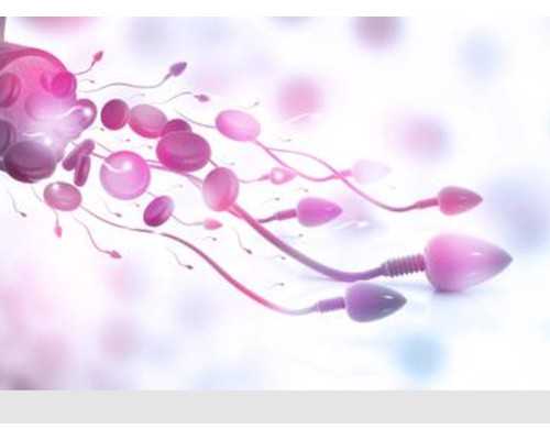 海口玛丽医院做试管成功率怎么样