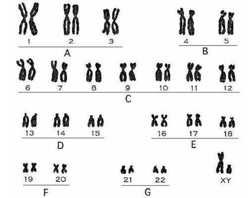 供卵试管有保障_金贝供卵试管费用,2026福建供卵试管婴儿医院排名，附供卵生男