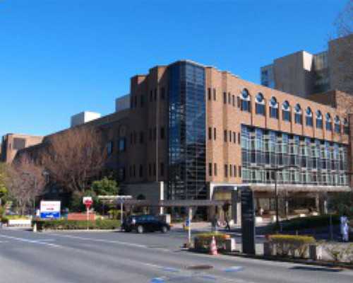 试管二代可以移植鲜胚吗,找人代怀宝宝