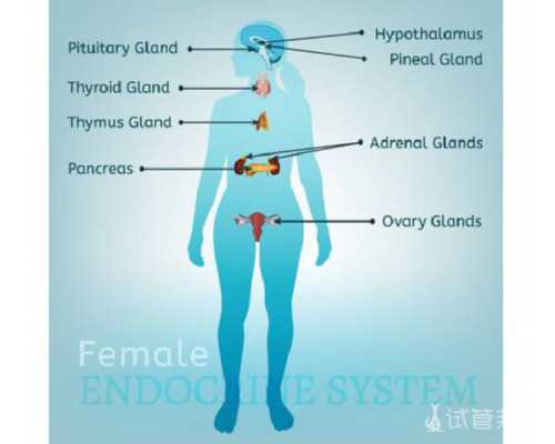 供卵助孕机构北京(广东供卵中心)-西安能做供卵吗
