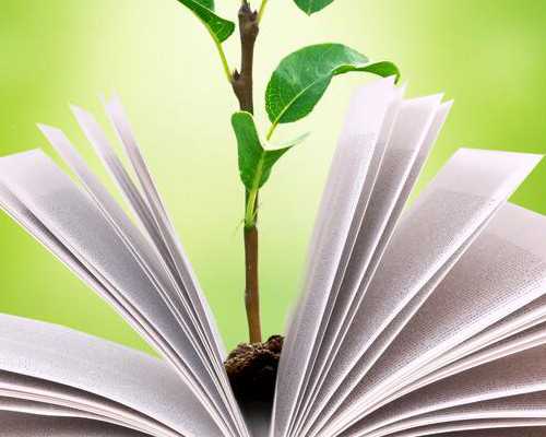 有人知道网友强烈推荐的海口玛丽医院试管到底如何吗？