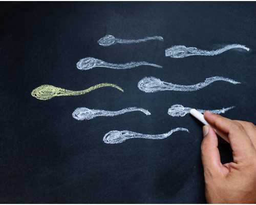 北京三医院供卵（北京供卵中心）_西安供卵代生男孩