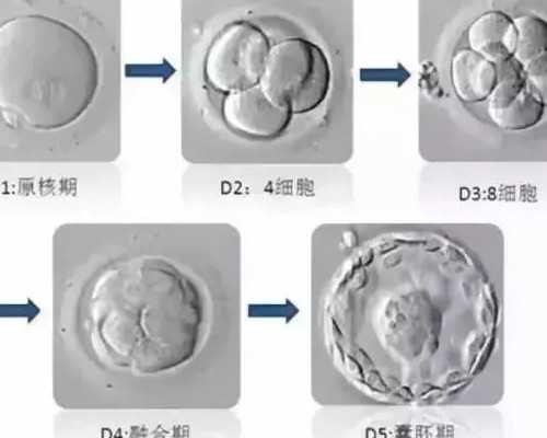 郑州第二附属医院可以用别人的卵子做供卵三代试管吗?_输卵管不孕_供卵代孕