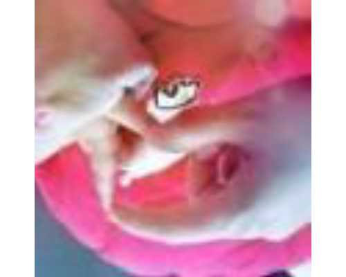 广东包成功助孕 广东三代试管要多少钱 ‘唐筛结果算男女’