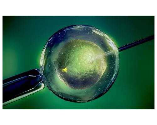 胎儿孕周发育标准数据