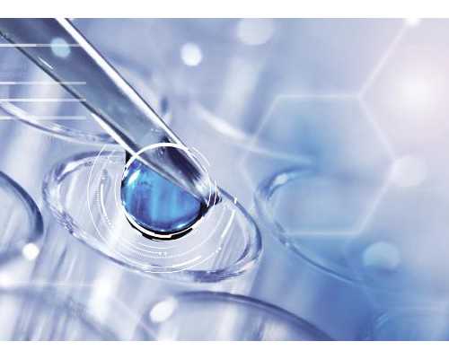 试管婴儿供卵中心_供卵试管地址_国外借卵做试管费用大概要多少钱?费用10万