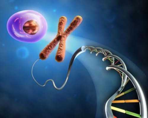 供卵试管成功率_供卵地址_2026自贡市妇幼保健院做三代供卵试管婴儿要多少钱？