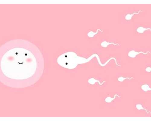 海口试管代怀几代|海口试管婴儿哪个医院好？