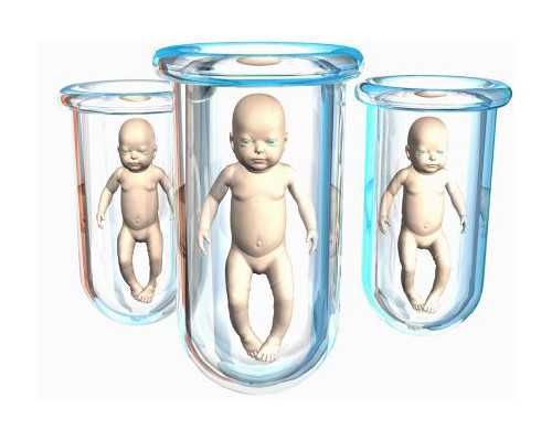 -iphone已停用刷机_三代供卵公司-代孕网包生男孩_爱心供卵网_代怀最正规的_借卵