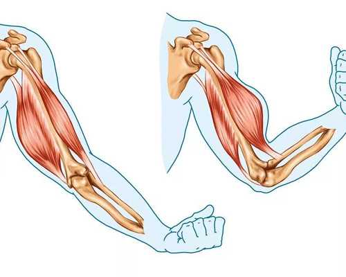海口正规的捐卵