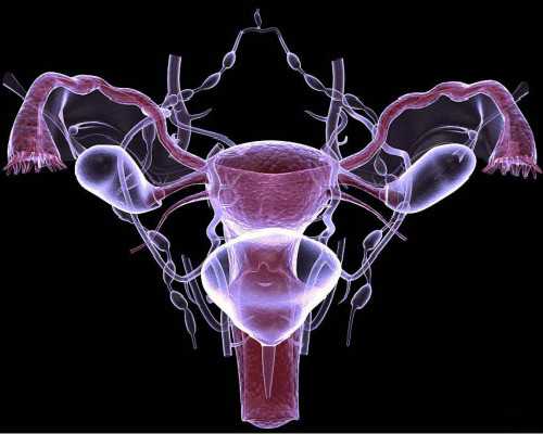 海口借卵代生孩子-浙江有代生孩子