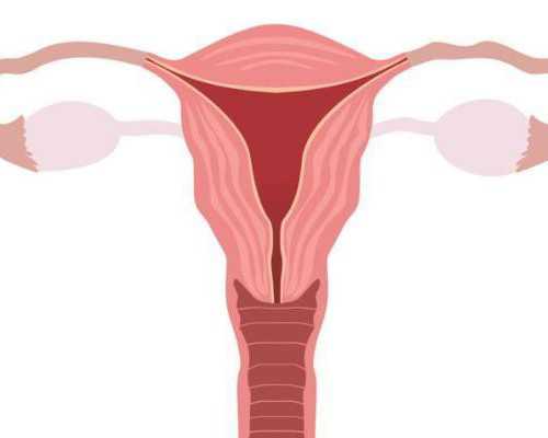 助孕试管供卵_供卵优质,国内有供卵医院吗,国内做供卵试管医院多吗