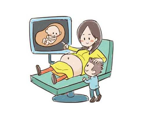 2026北大深圳医院试管婴儿费用明细分享，三代供卵价格表_狗一天要喂多少食物