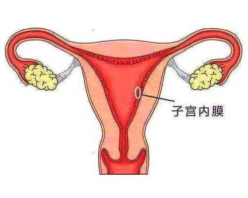 北京三代试管助孕费用概述?,在北京大龄未婚单身女性可以取卵子冷冻做人工助