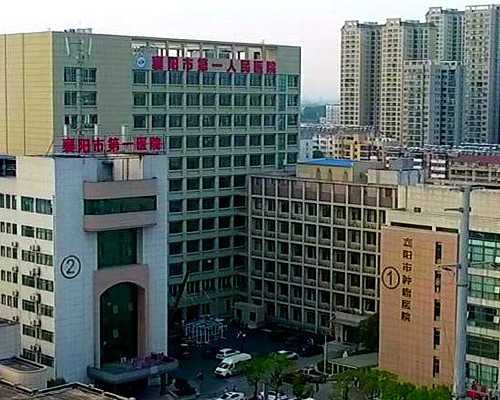 如何保证试管婴儿的成功率,代怀男宝宝