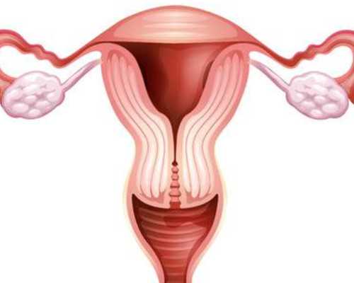 北京供卵试管|供卵试管供卵公司打降调可以同房吗