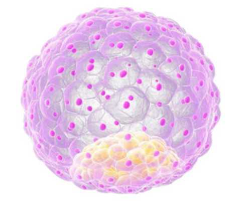 海口借卵助孕服务-浙江权威助孕网点