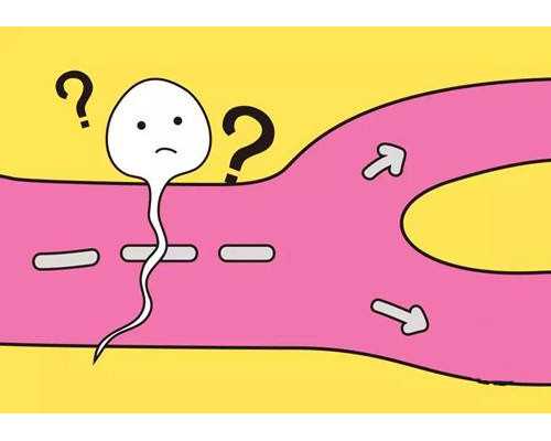 刚出生婴儿护理流程